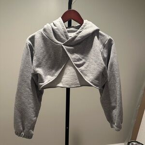 Zara Heather Gray Knit Top
